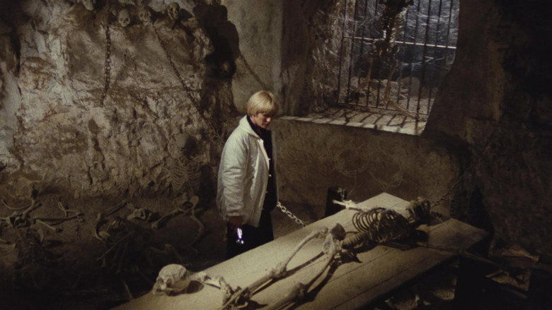 The Black Cat still 3