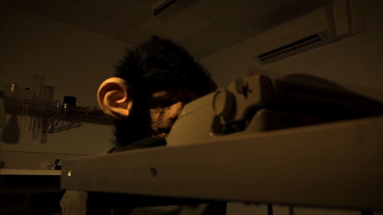 The Infinite Monkey Theorem still 1