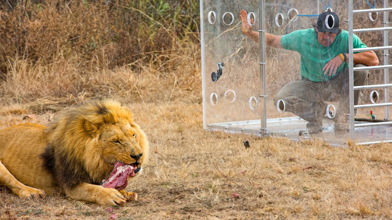 Man V. Lion still 7