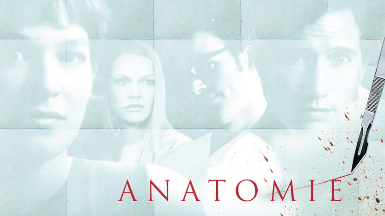 Anatomy still 8
