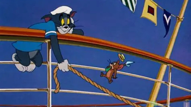 Cruise Cat still 1