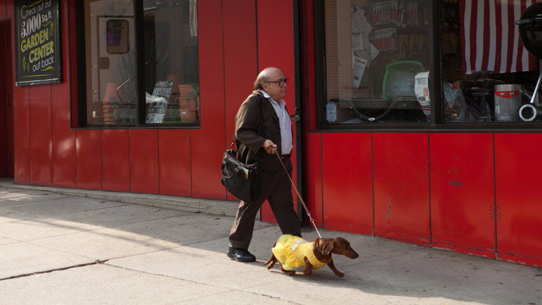 Wiener-Dog still 3