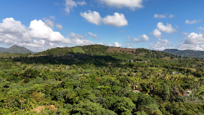 Mamá Tingó: Living memory of the Dominican land still 5