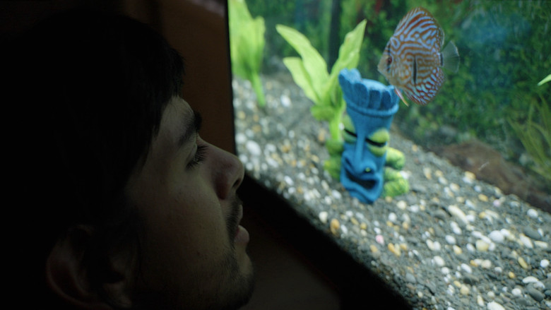 Notes from a Fish still 1