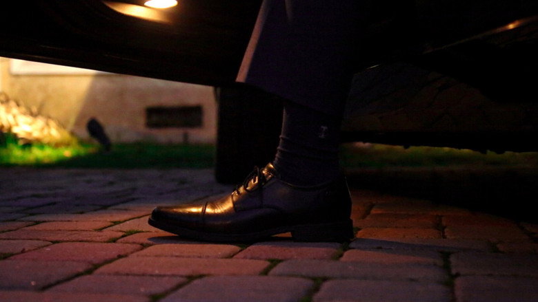 Imitation still 2
