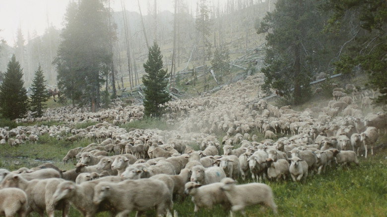 Sweetgrass still 2