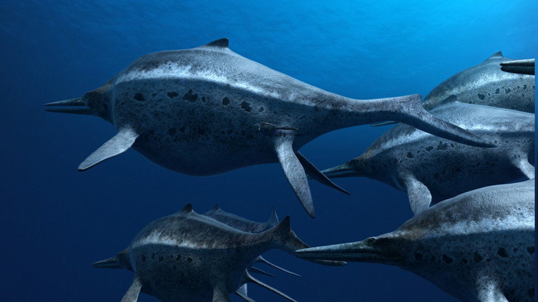 Sea Rex 3D: Journey to a Prehistoric World still 2