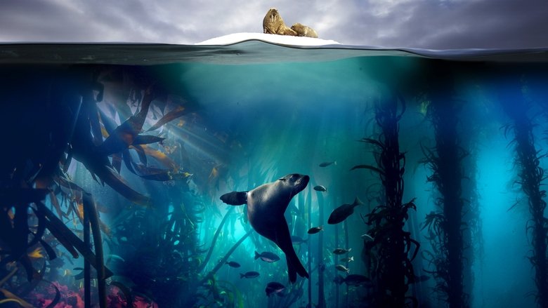 Blue Planet II still 2