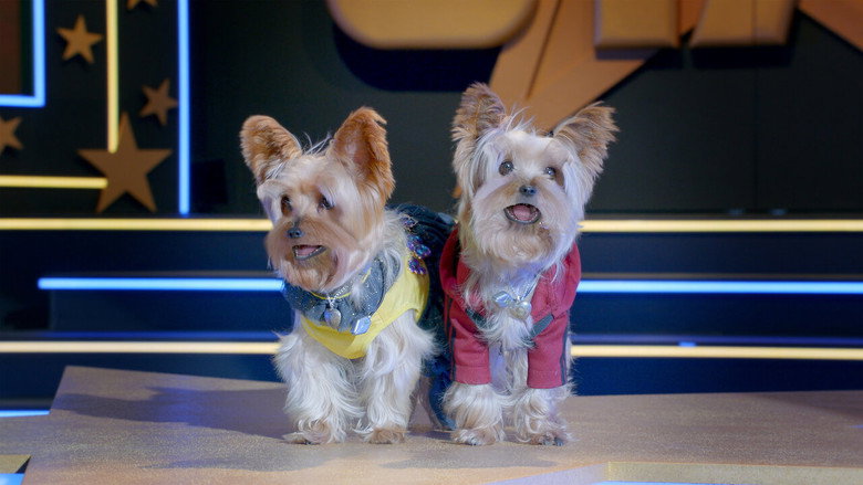 Pup Star: Better 2Gether still 2