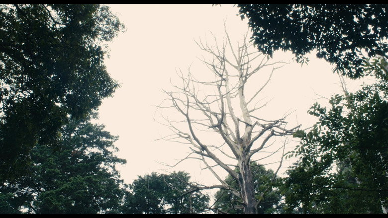 The Day of Destruction still 2