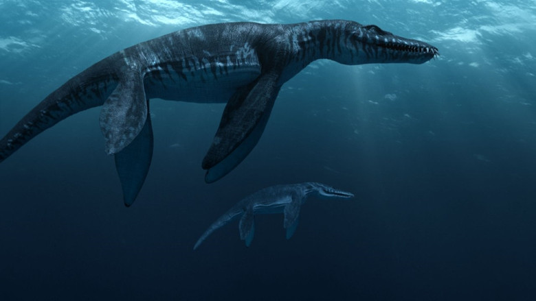 Sea Rex 3D: Journey to a Prehistoric World still 1