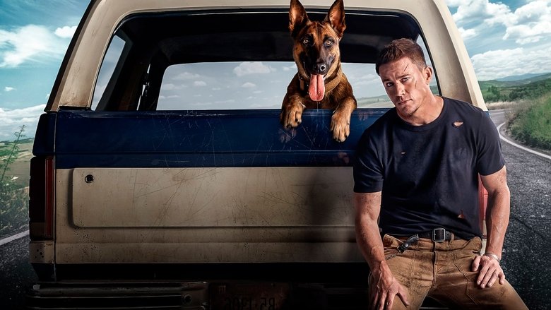 Dog still 1