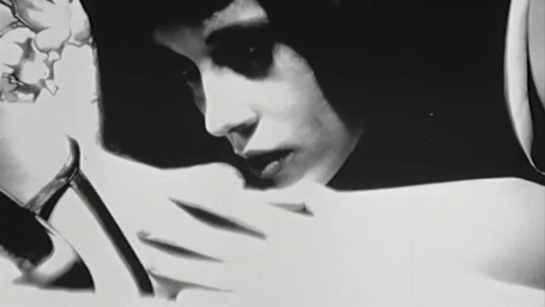 FRANZ ZWARTJES : "DO BIZARRO AO ERÓTICO" still 3