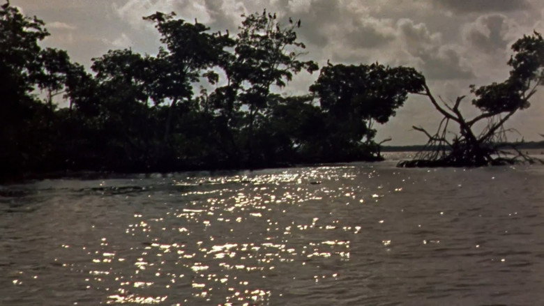 Wind Across the Everglades still 6