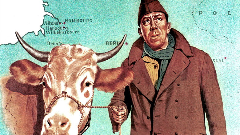 The Cow and I still 6