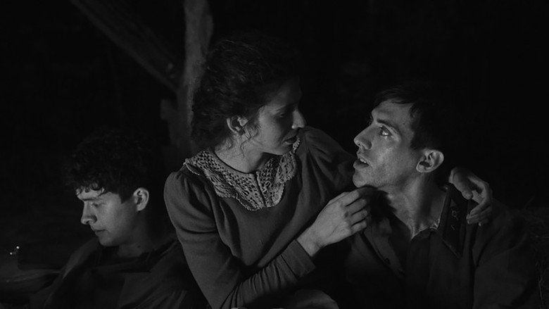 SHTTL still 3