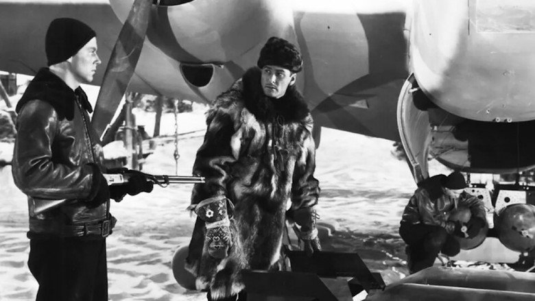 Northern Pursuit still 2