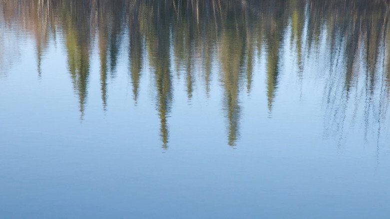 The Story of a Slough still 5