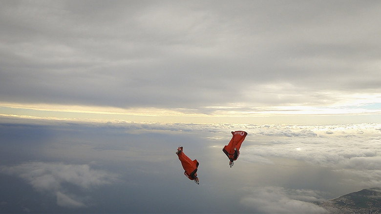 Fly still 3