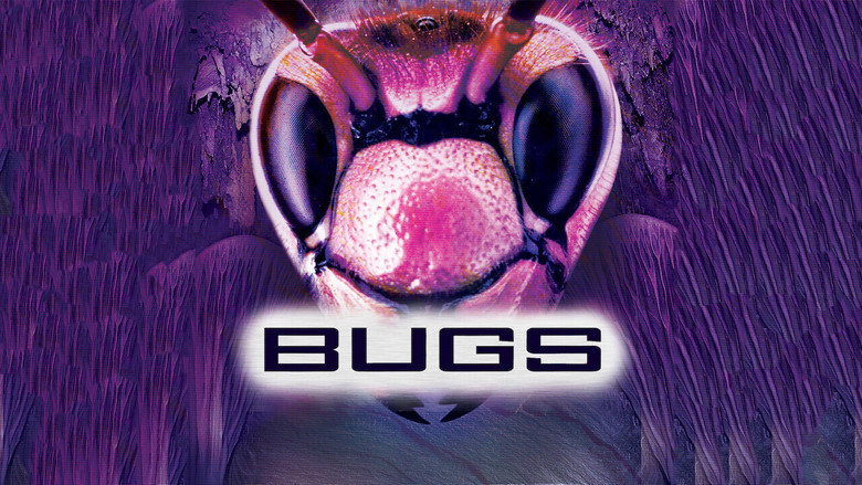 Bugs still 3