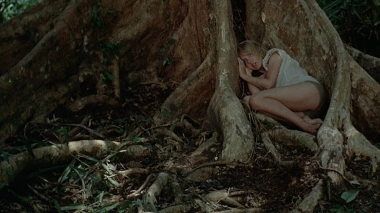 The Valley still 4