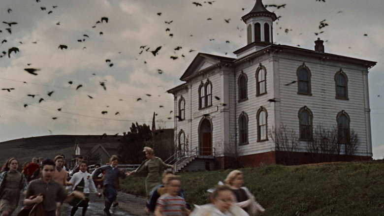 The Birds still 3