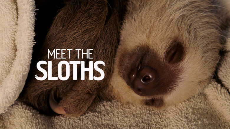 Meet the Sloths still 1