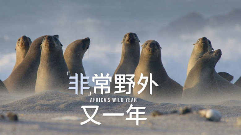 Africa's Wild Year still 6
