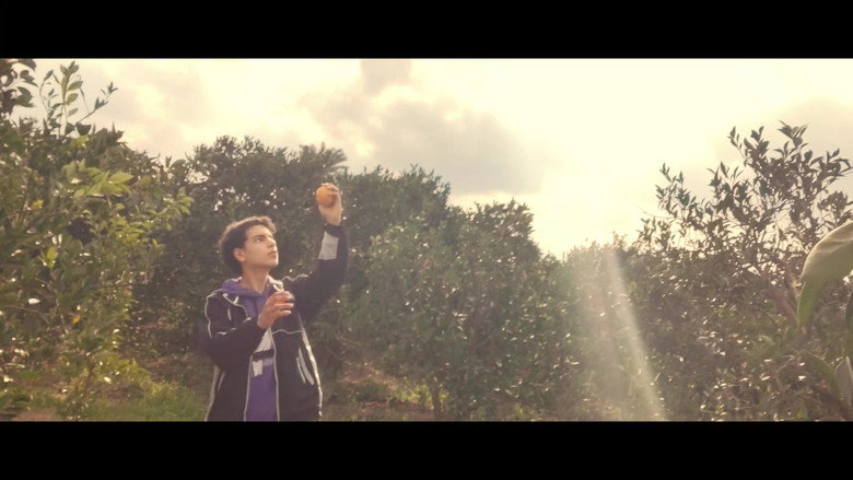 Oranges and watermelons still 3