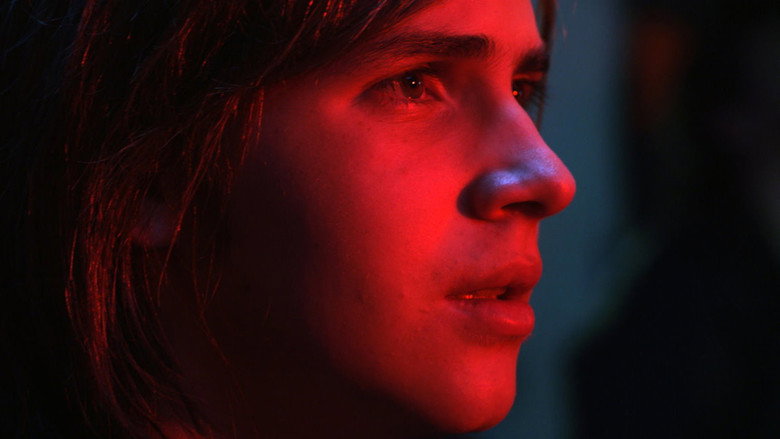 Holiday still 4