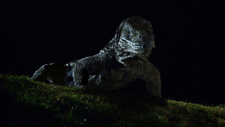 Komodo still 1