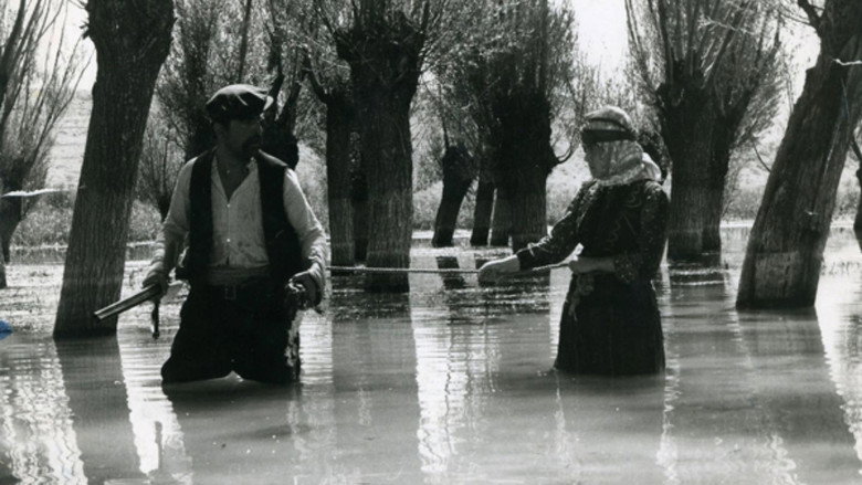 The Well still 5