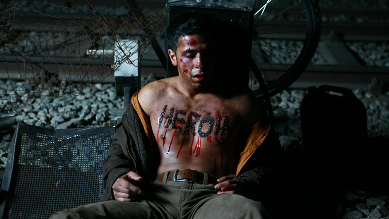 Kopf oder Zahl still 4