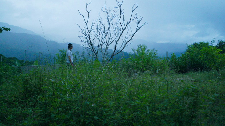 Days still 4