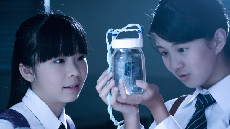 An Indigo still 1