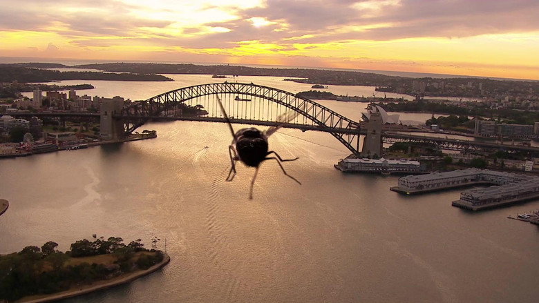 The Great Australian Fly still 6