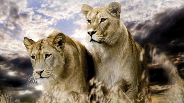 Big Cats: Fast and Dangerous still 1