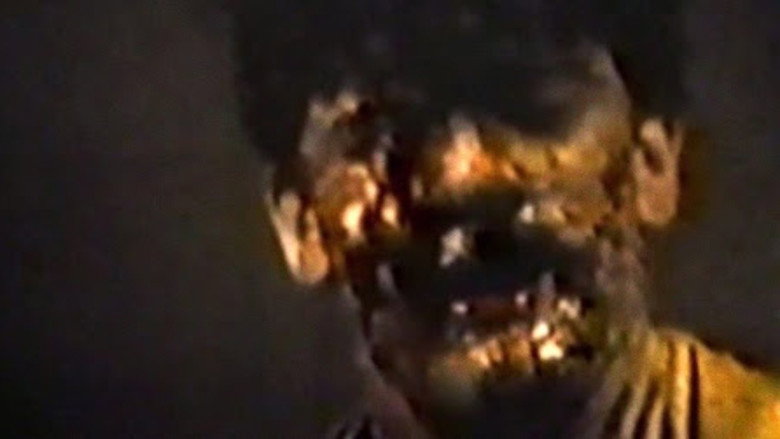 Within the Woods still 5