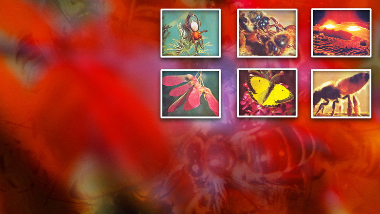 Secrets of Life still 2