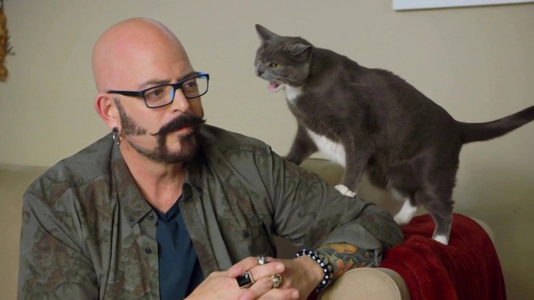 My Cat from Hell still 8