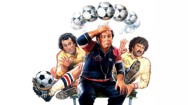 L'allenatore nel pallone still 1
