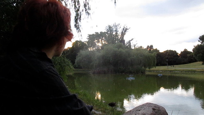 Les oiseaux de l'Est still 5