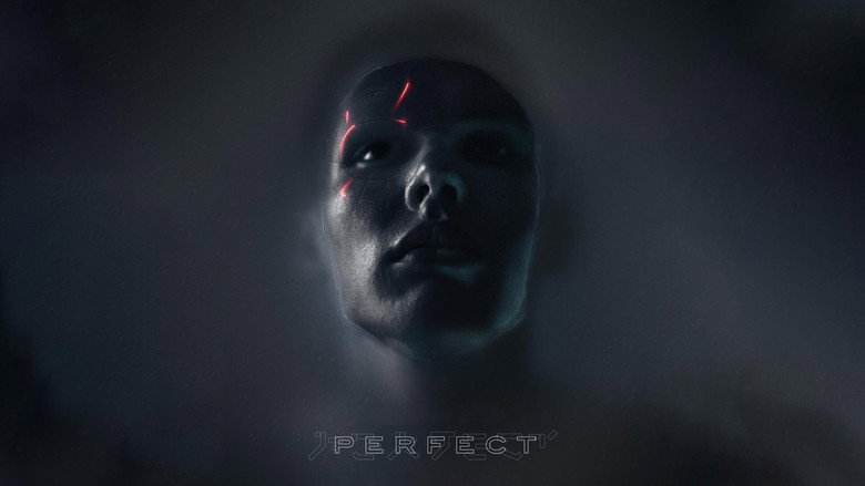 Perfect still 6