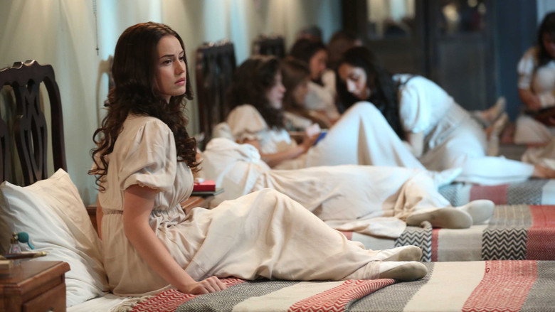 Lovebird still 3