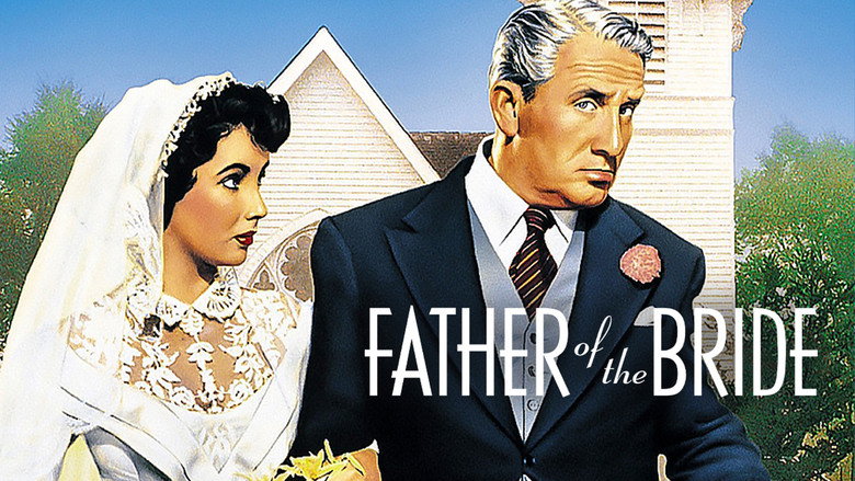 Father of the Bride still 6