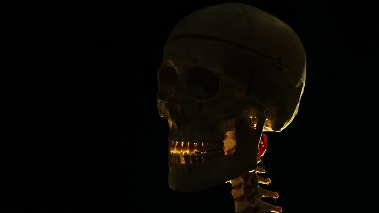 A Espada Da Fraga still 2