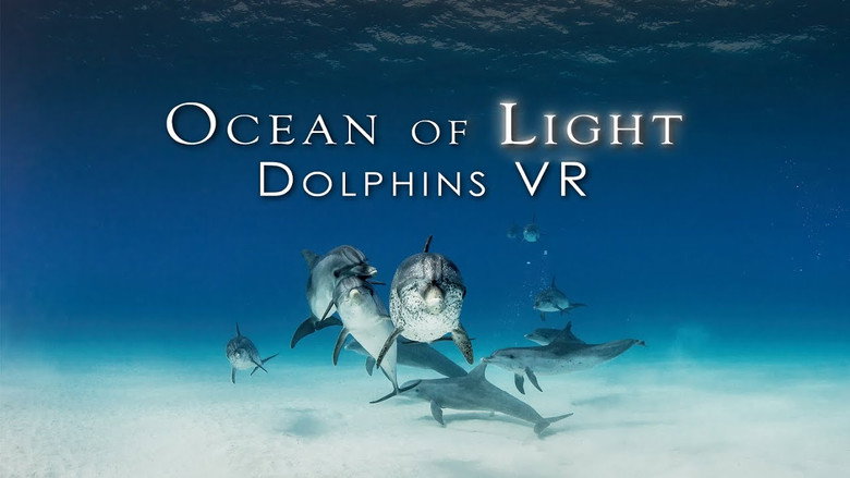 Ocean of Light - Dolphins VR still 1