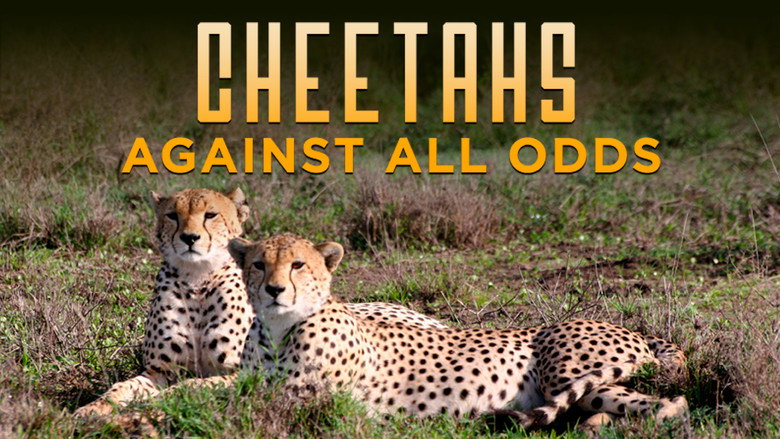 Cheetahs Against All Odds still 1