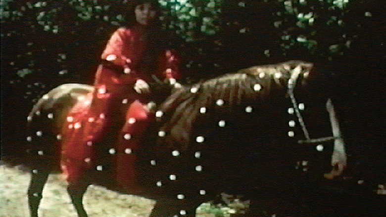 Kusama's Self-Obliteration still 1