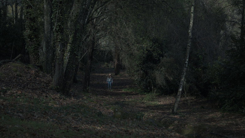 A Floresta still 8